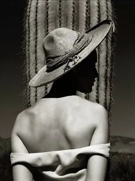 albertwatson鎽勫奖,albert鏃跺皻