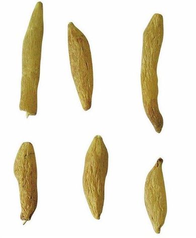 神农本草经滋阴通便的中草药,神农本草补津液