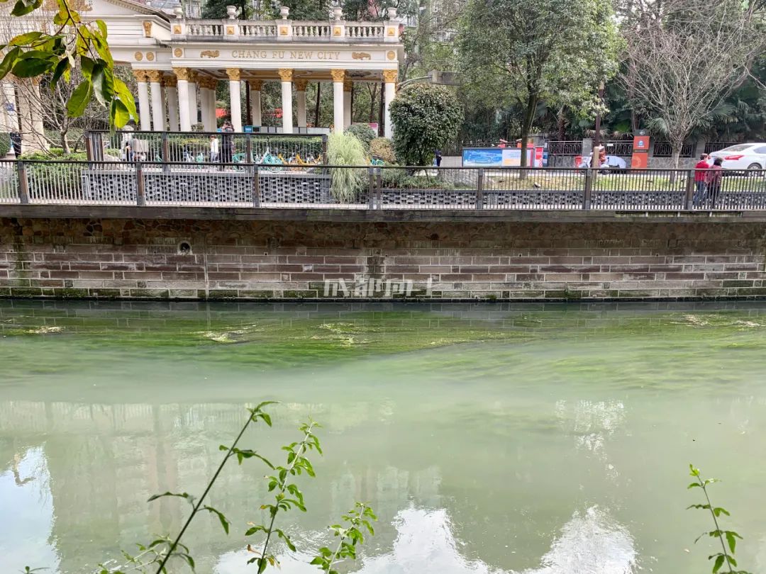 成都绿道风景美如画,成都周边哪条河边绿道最美