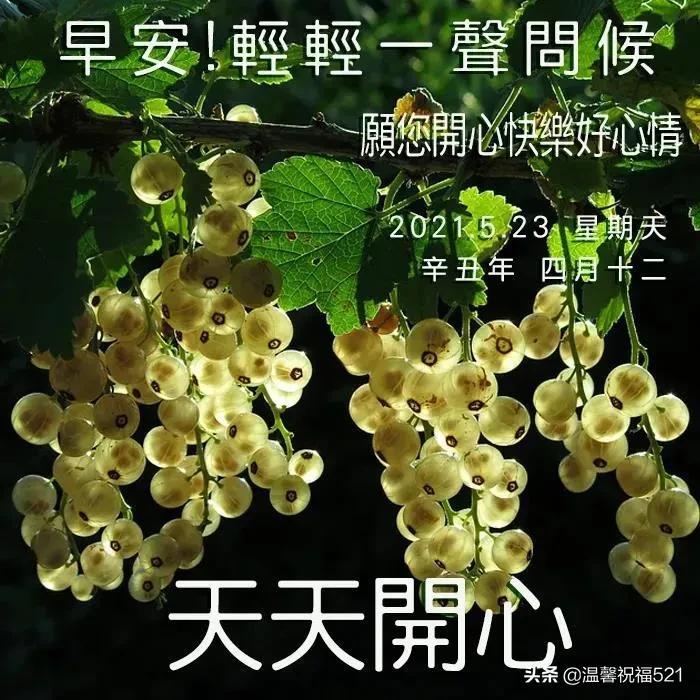 发条短信把你叫,催你早起对镜笑,营养早餐早备好,亲爱的,早安