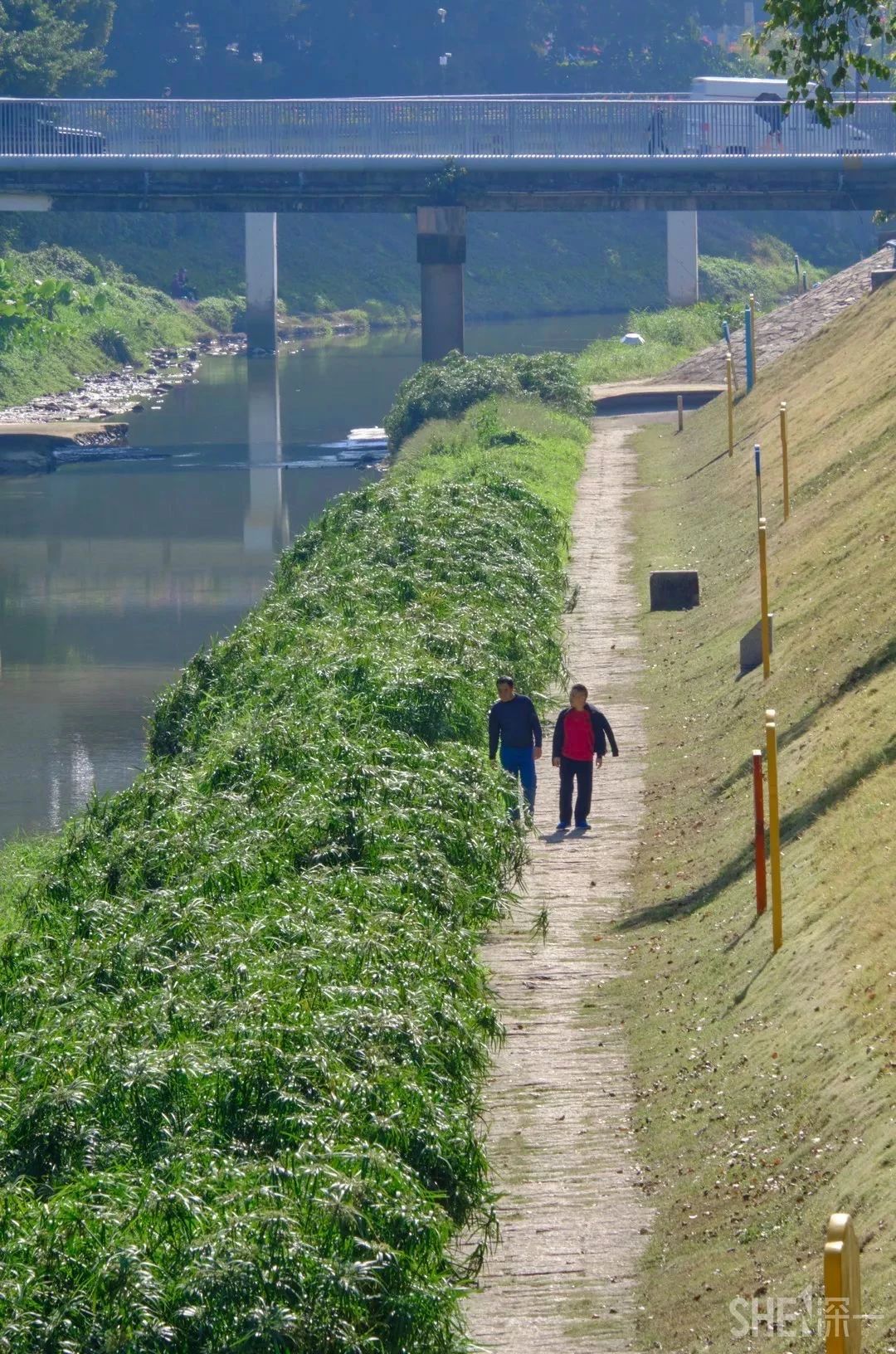 深圳二号线沿线有哪些景点游玩,深圳9号线沿途好玩的地方推荐