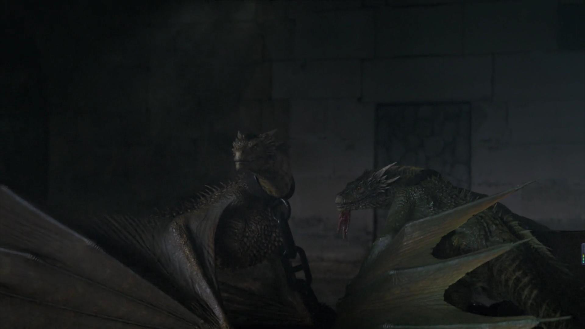 龙的成长之路完整版,龙的一生变化过程视频