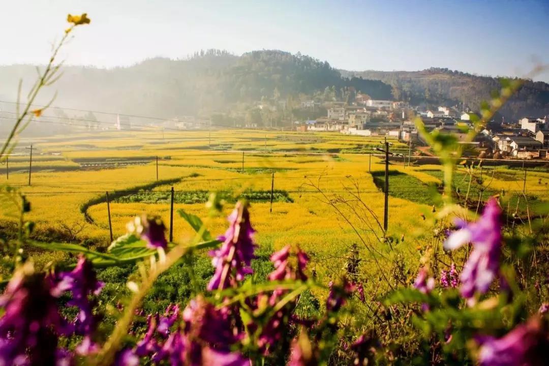 云南18个县城被评为天然氧吧,中国云南天然氧吧城市有哪几个