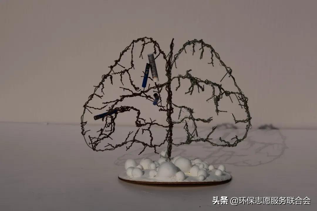 成都高校生态环境大联盟｜废旧物创意设计—四川国际标榜职业学院