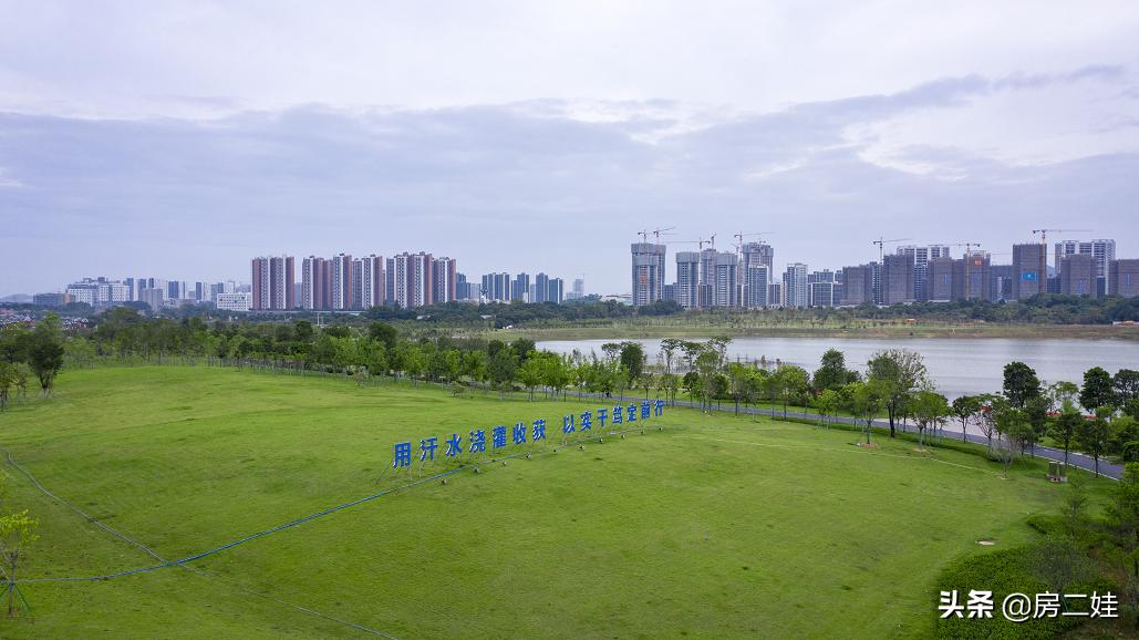 独自美丽的知识城，会惊艳所有人