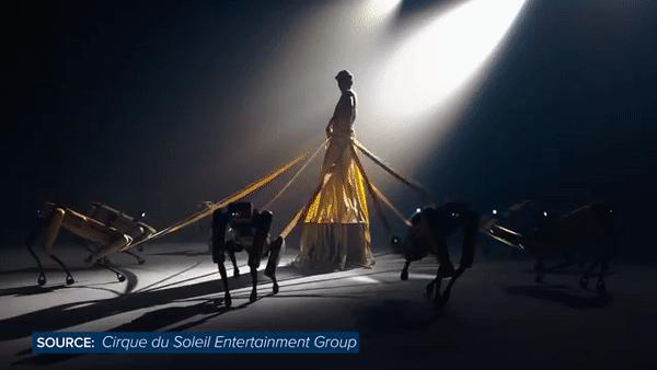 50万一只的波士顿机器狗,中国购买的波士顿机器狗