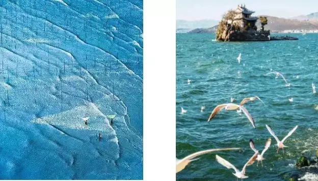 娴簯鐗у満绉佷汉姘戝,娴簯鐗у満缃戠孩姘戝