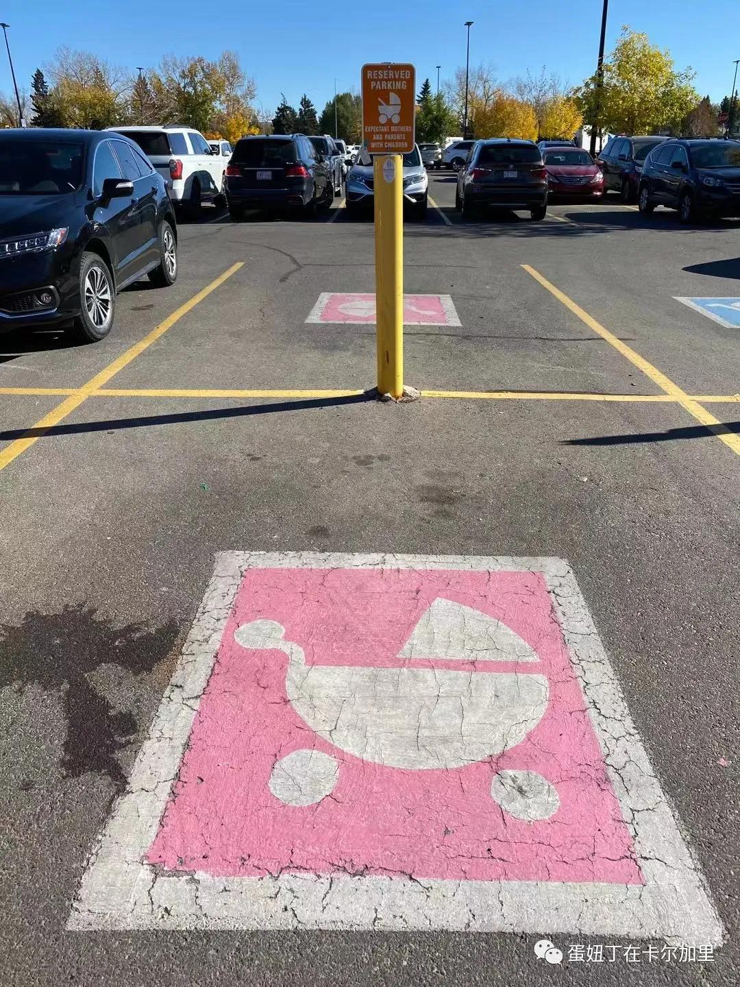 老司机谈开车,老司机聊车大全