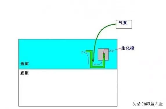 鱼缸各种过滤方式效果排名,细谈各种鱼缸过滤方法