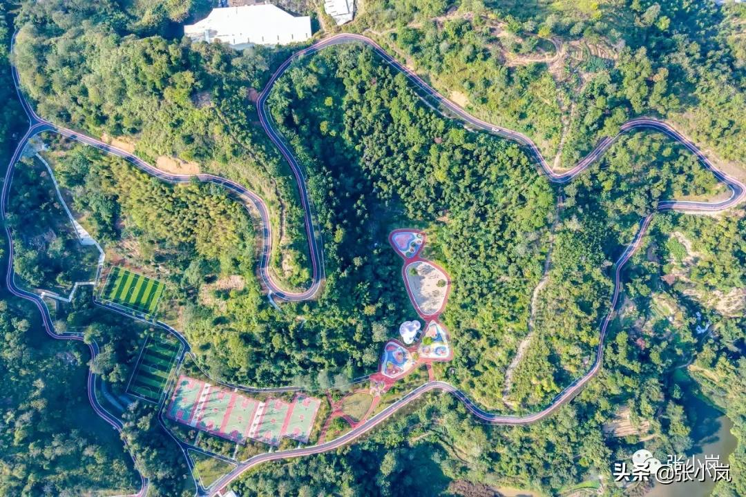 藏在森林里的儿童乐园,韶关市森林公园儿童游玩项目