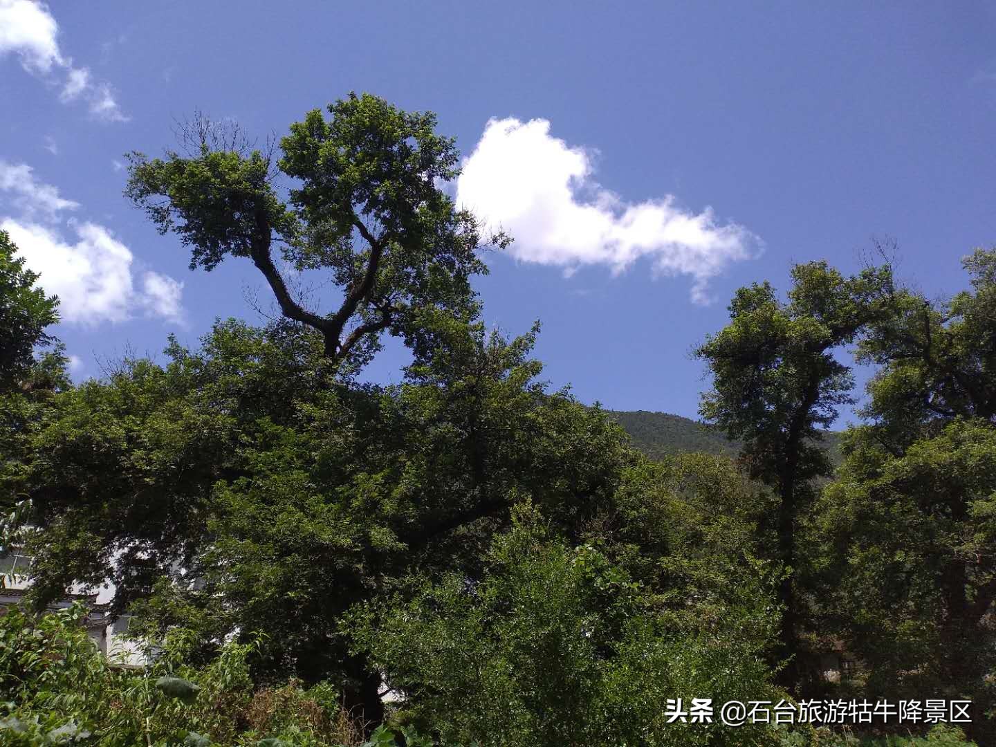 那故乡的风那故乡的云费翔,那故乡的云