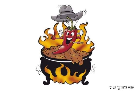 肝火旺目赤肿痛,视物模糊,一个小药方,泻肝火,明目,养肝护肝