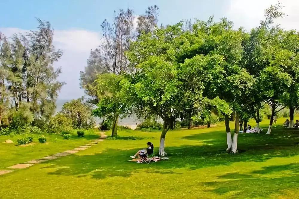 漳州和厦门全面对比,漳州和厦门经济比拼