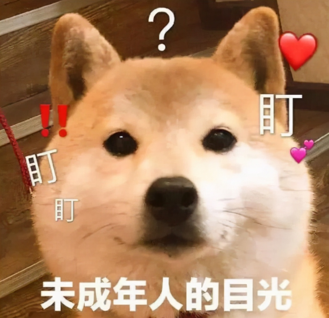 论00后的辞职信,00后扎心辞职信