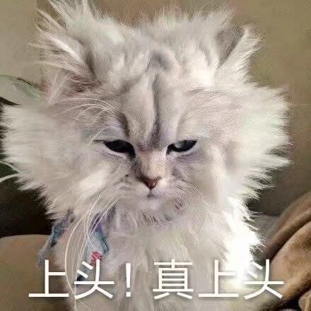 2019年热词英文版,三农热词2019年