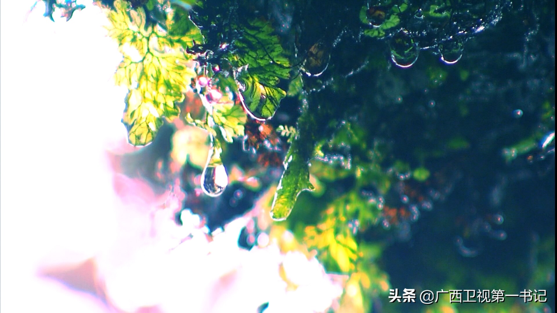 盘瑶山,盘瑶瑶族姑娘