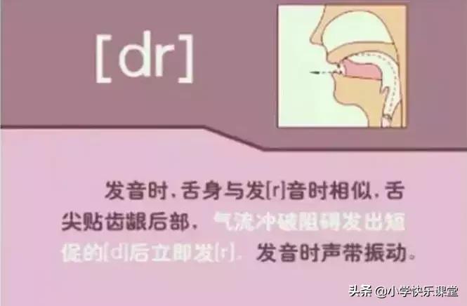 48个国际音标的发音口型视频图,英语48个音标发音口型视频