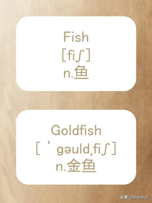 动物的英文拼写及音标,关于动物的单词及音标