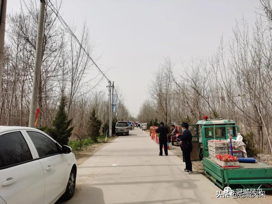 北板桥村赶会,冠县梁堂镇北黄城村历史记载