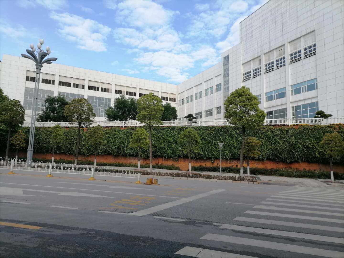 云南曲靖卷烟厂地址,云南曲靖卷烟厂老烟标图片