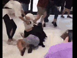 costco最近怎么样,加州湾区costco晚上几点关门