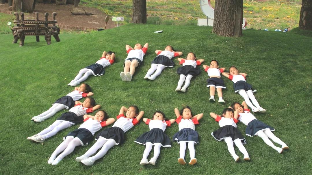 蒙草快乐小草亮相全国发明展览会,蒙草生态快乐小草产品