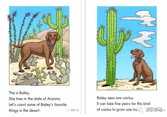 英语raz分级阅读解析,英语raz分级阅读绘本含多少词汇量