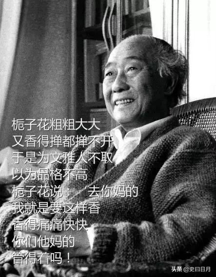 文化人的嘲讽,文化人骂没素质的人