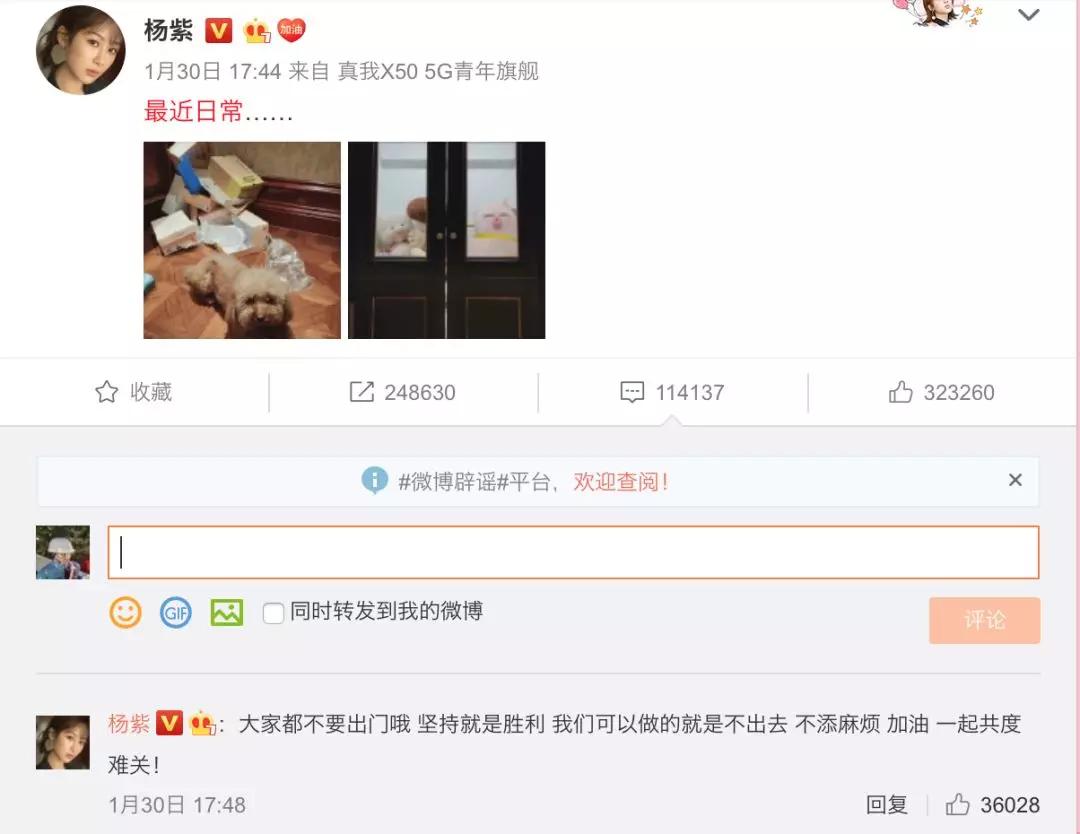 章子怡评李佳琦完整版,章子怡评价李佳琦完整版