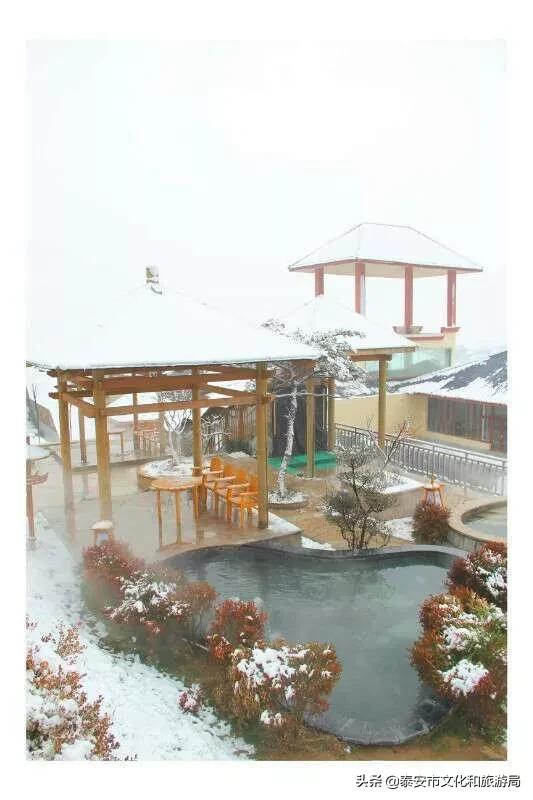 泰山及泰山温泉城攻略,天冷来这里泡泡温泉特别惬意