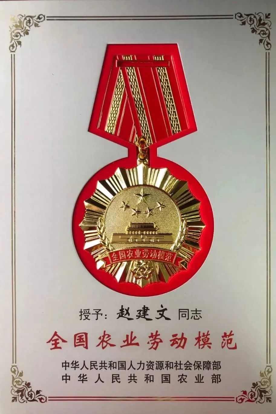 中国用了占世界多少的耕地,我国用占世界百分之几的耕地