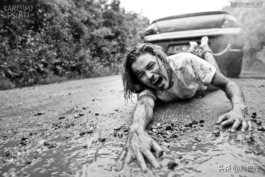 当治病钱有限的时候该怎么办,为什么宠物治疗费用这么高