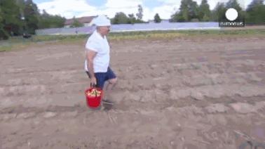 白俄罗斯要和俄罗斯合并吗,俄罗斯和白俄罗斯合并有什么区别