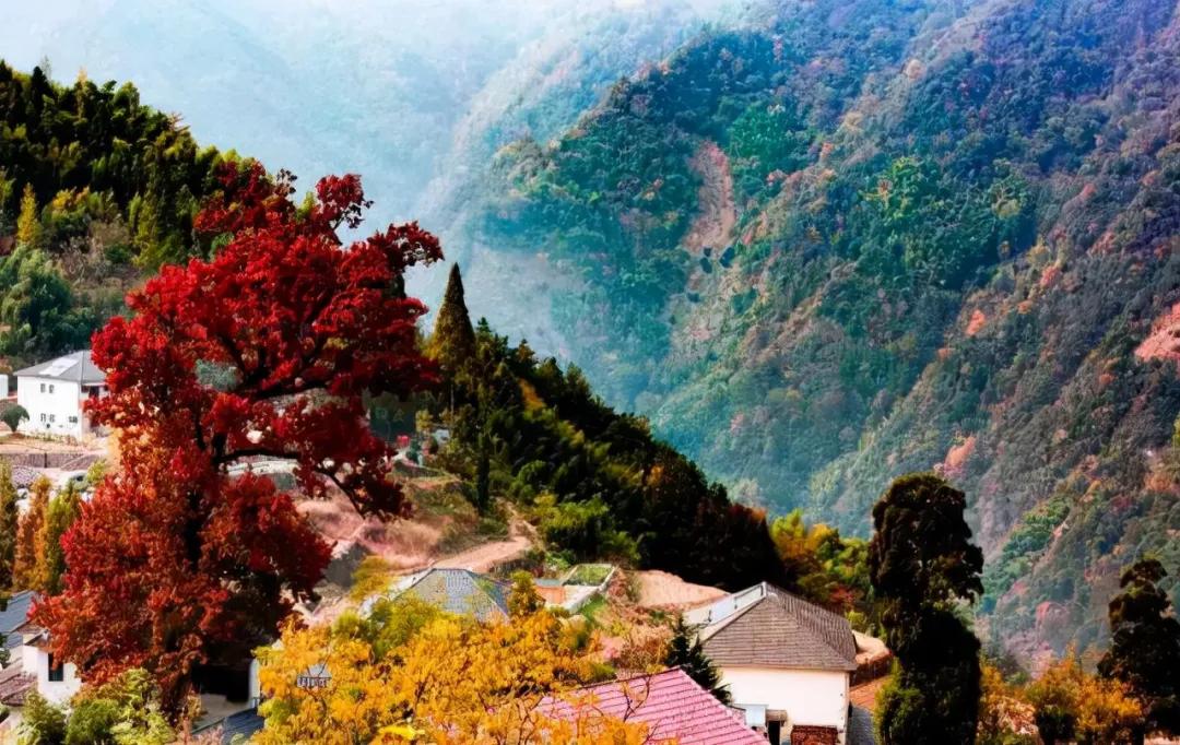 国内小众拍照胜地排名,文艺气息满溢的拍照圣地