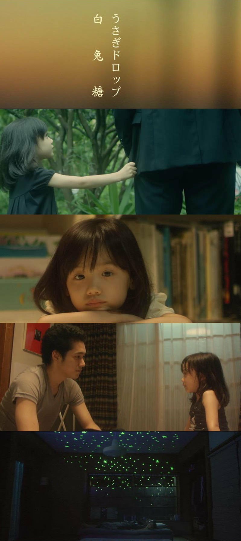 《白兔糖》尝一尝这颗治愈人心的“白兔糖”