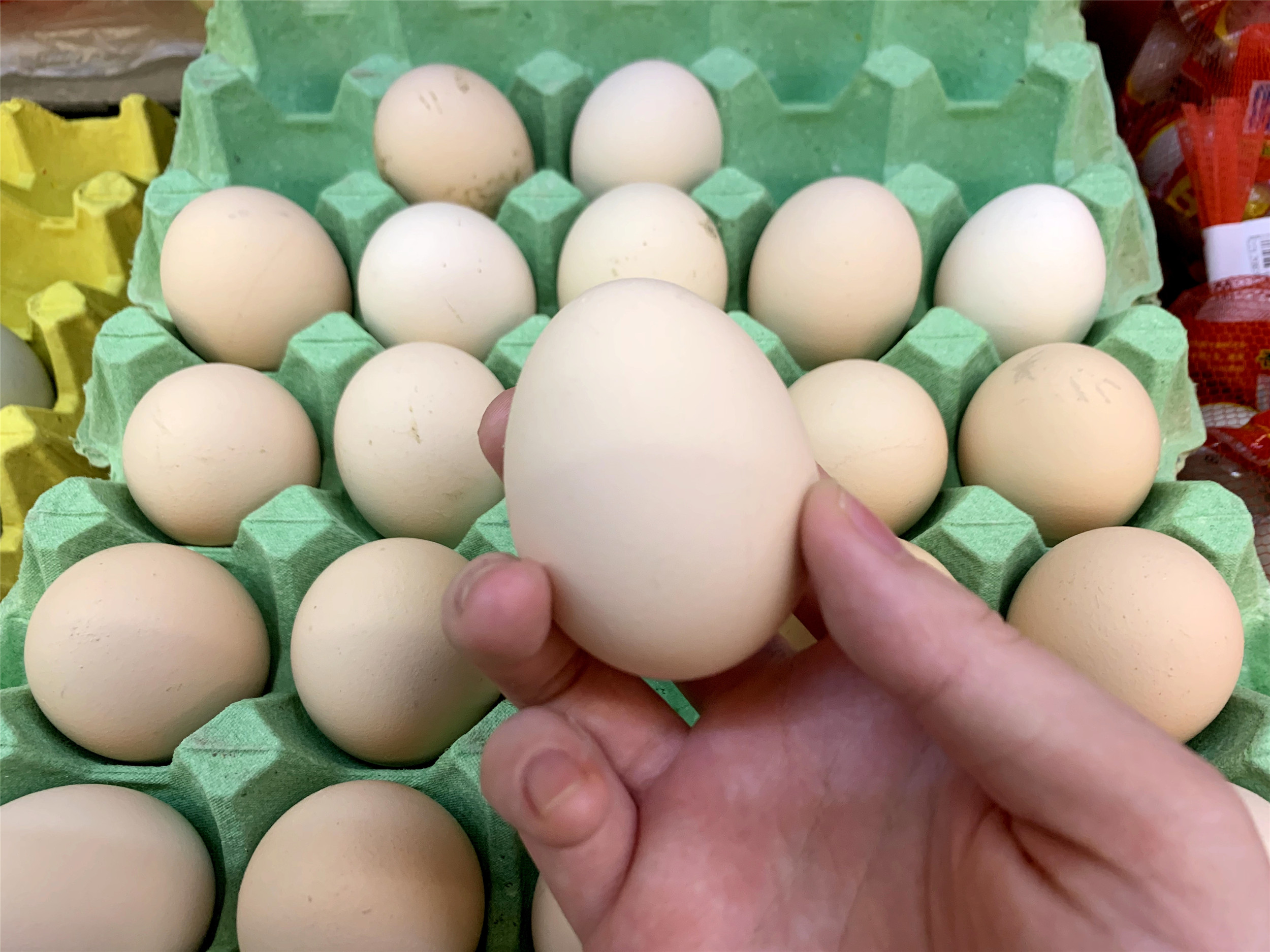 白壳鸡蛋和红壳鸡蛋哪个贵点,买鸡蛋要买壳厚的还是壳薄的