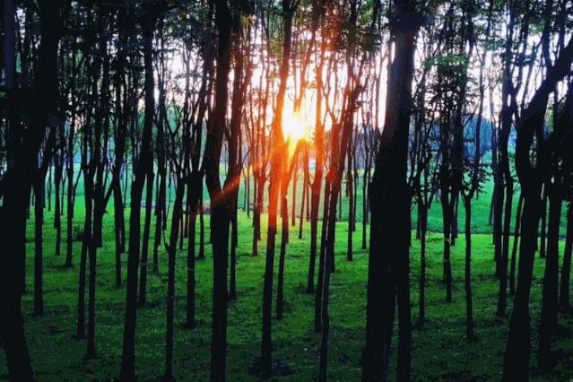 杜邑国家遗址公园,杜邑遗址公园和杜陵遗址公园