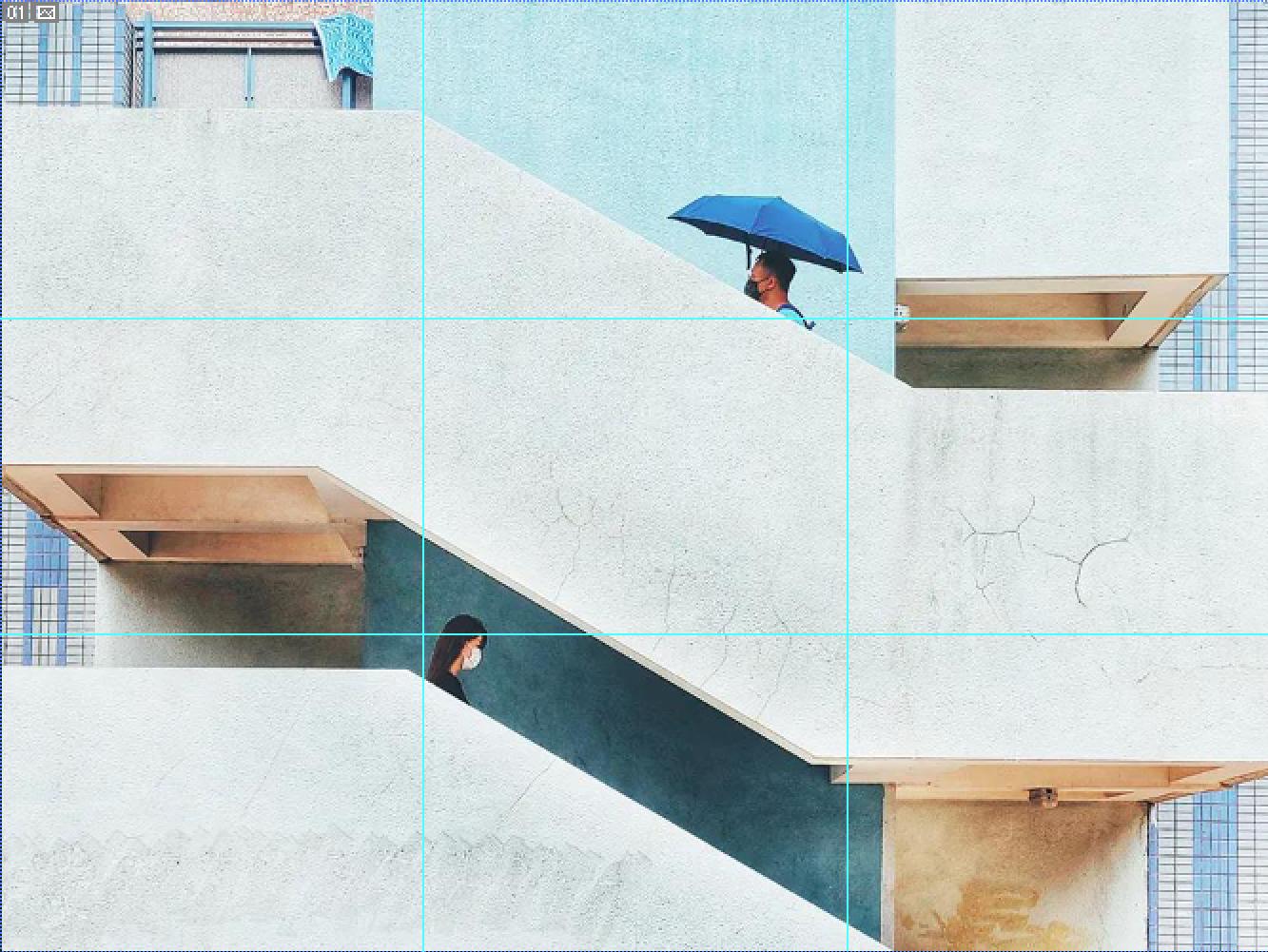 拍摄构图一般用几分法构图,三分构图和中心构图的区别