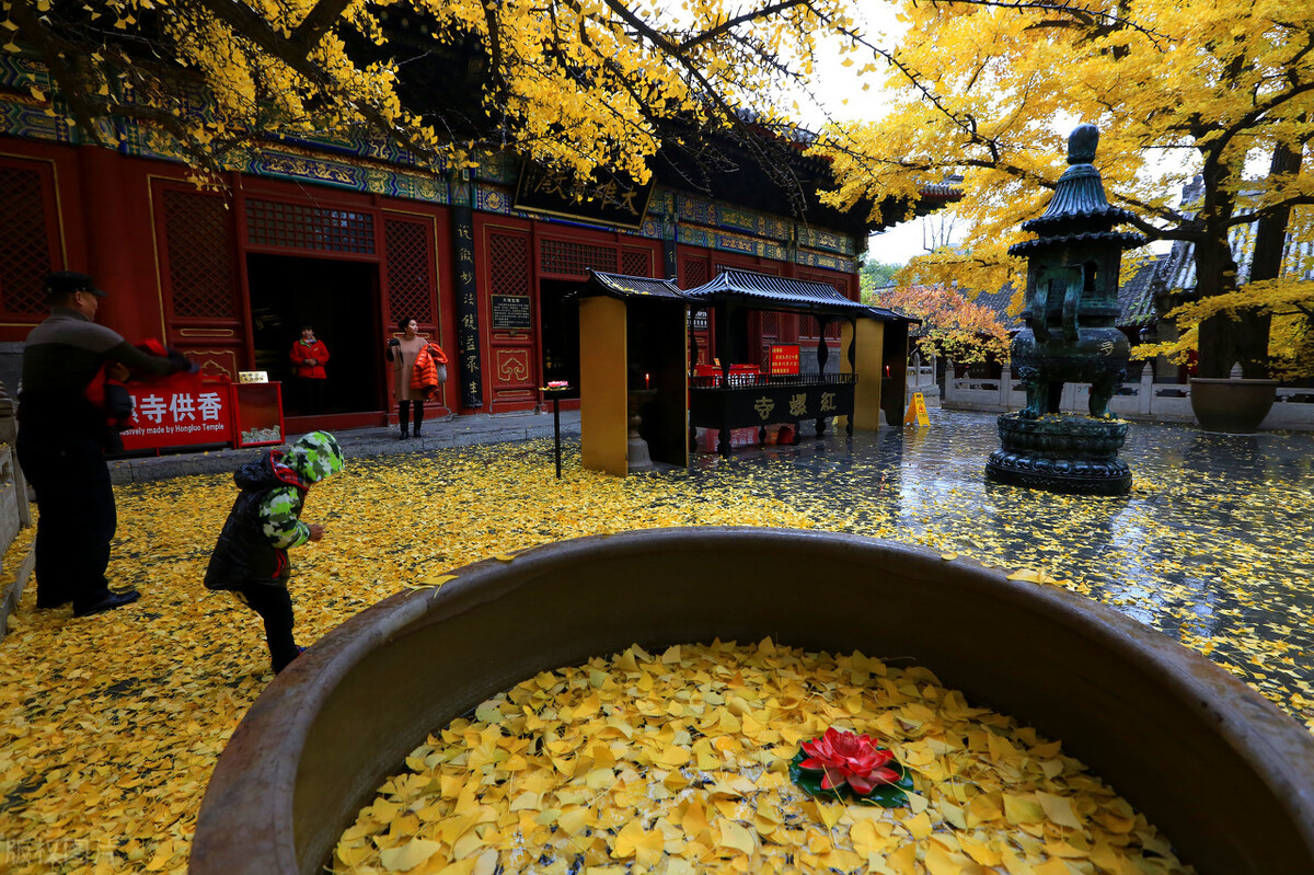 了凡四训七句箴言知命改命不难,除了了凡四训还有什么改命的故事