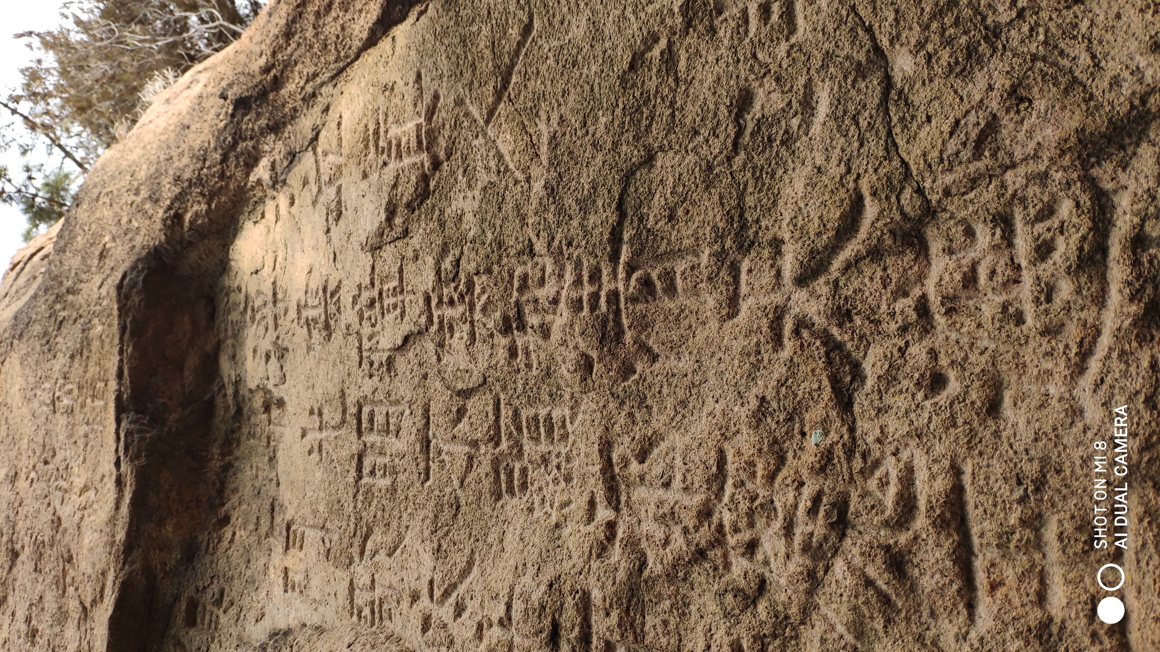 崂山水畔菜蔬鲜，黄石洞中书韵长