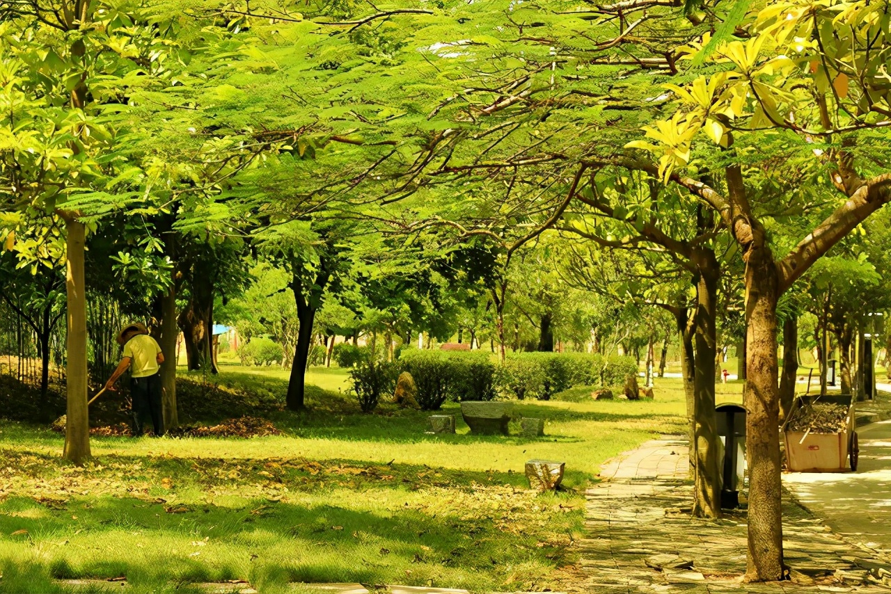 河源职业技术学院春考录取分数线,河源职业技术学院分数线