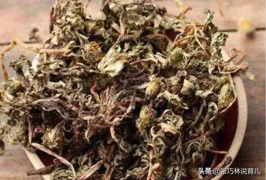 女子喝蒲公英入院,女子因喝饮料进医院