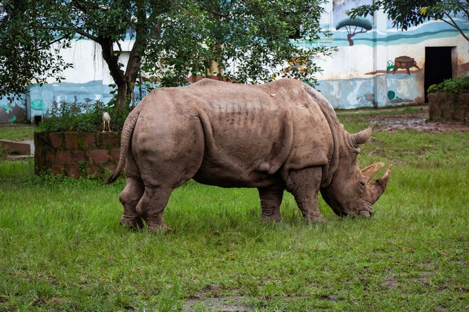 儿童亲子游怎么玩,室内亲子游必玩100例