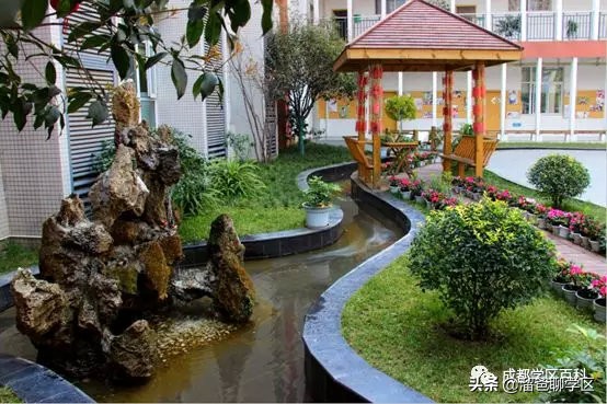 大源片区小学排名,高新区大源片区学校排名