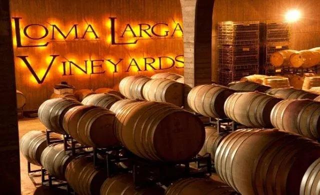 智利十大的酒庄排名榜最新,智利葡萄酒十大酒庄