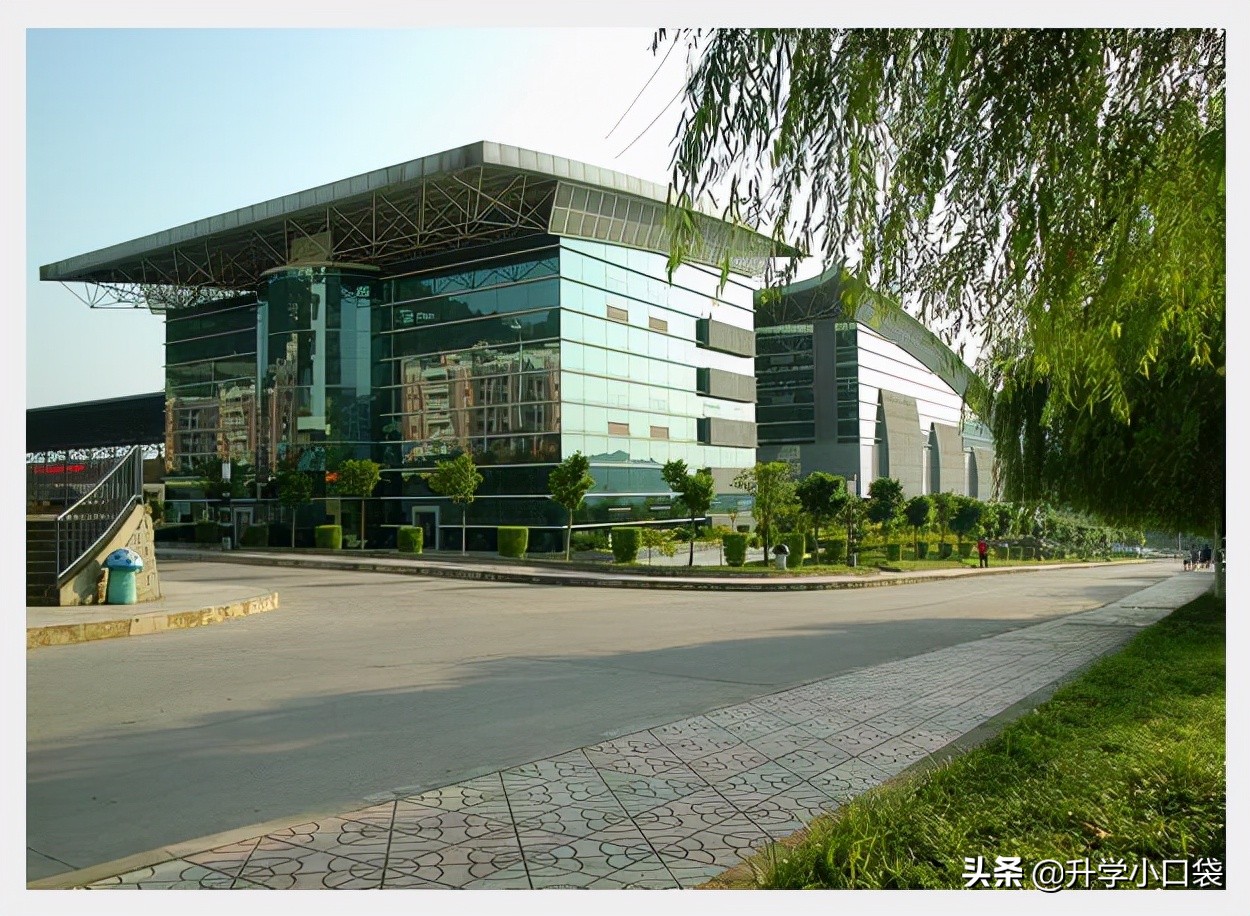 重庆邮电大学2022届保研数据已出炉,保研率3.79%,197人被保研