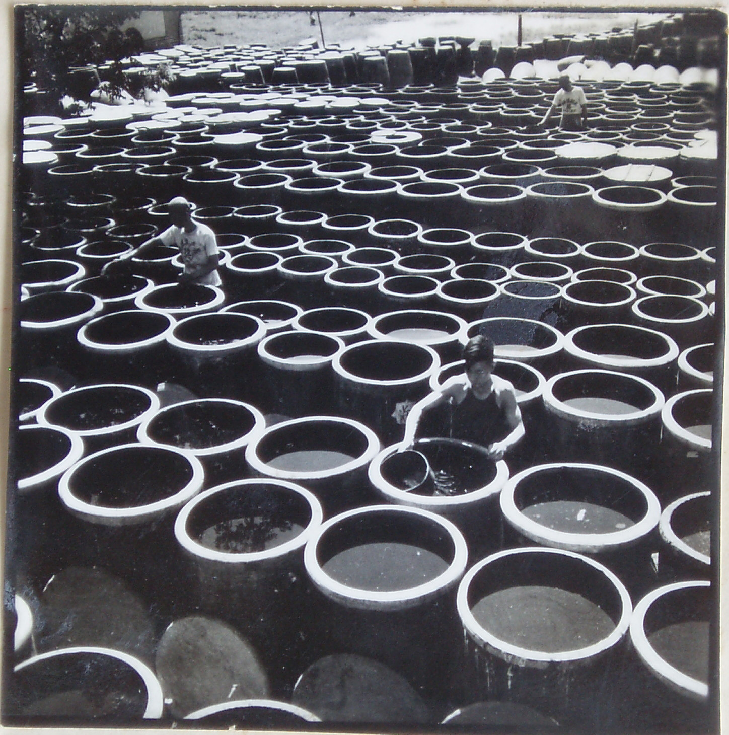 揭秘让人“醋味十足”的山西老陈醋的前世今生