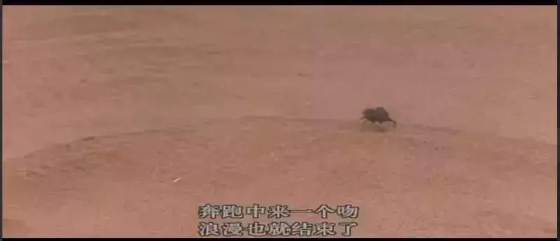 最适合让孩子看的5个纪录片,这几部高分纪录片适合孩子寒假看