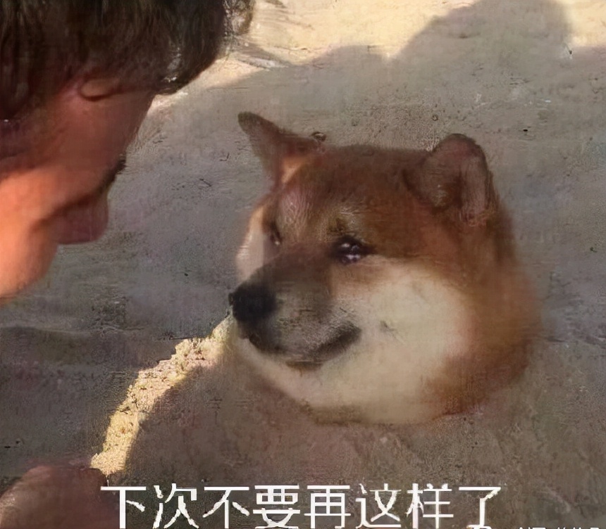 剑网三蓬莱和凌雪阁哪个可玩性高,剑网三为什么蓬莱基础攻击力好低