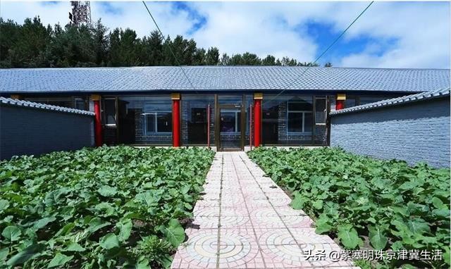 塞罕坝蒙古大营度假村,内蒙塞罕坝旅游